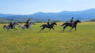 Reiterurlaub Kroatien