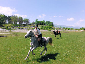 Im Galopp durch Dalmatien