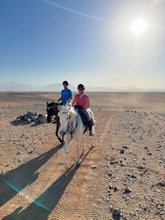 Reiten in Ägypten - Reiten am Roten Meer
