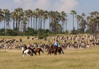 Reiterferien Botswana