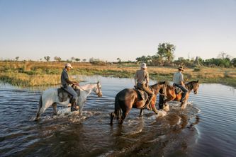 Reitsafari Elefanten