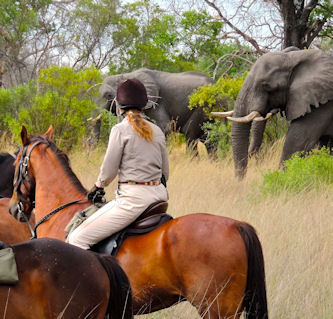 Reitsafari Botswana