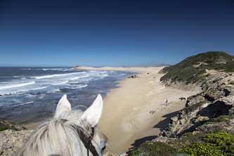 Strandgalopp
