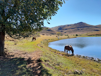 Trail Lesotho