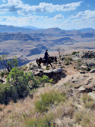 Reitferien Lesotho