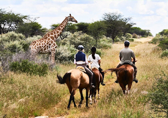 Stimmungsvolles Abendessen
