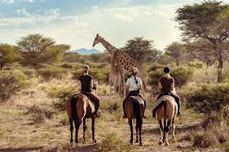 Namibia, Reitsafari