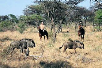 Der Tierwelt ganz nah