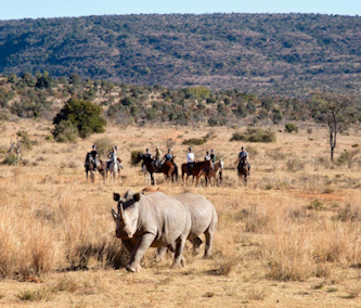 Reiten in Afrika - Wächter der Wildnis - Trail