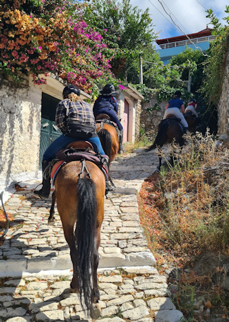 Trail in Albanien