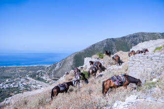 Trail in Albanien