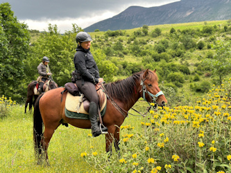 Trail in Albanien