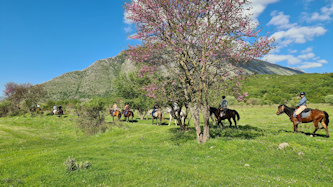 Trail in Albanien