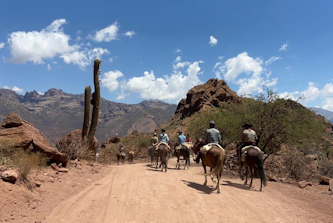 Reiturlaub Argentinien