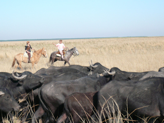 Abwechslungsreiche Landschaften