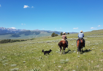 Westernreiten