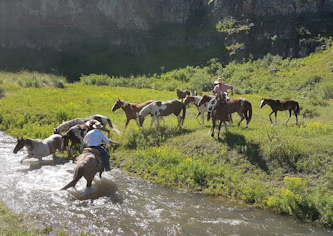 Ferien auf der Ranch