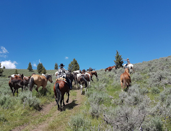 Ferien auf der Ranch