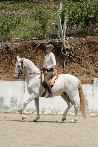 Horsemanship Costa Rica