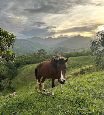 Reiten in Costa Rica