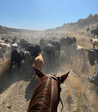 Reiturlaub Montana