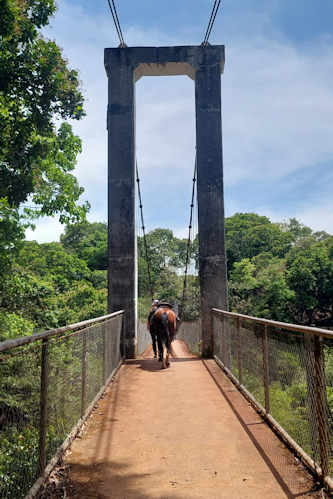 Reiten in Costa Rica