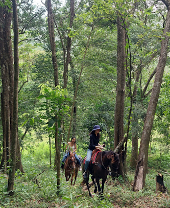 Reiten in Costa Rica