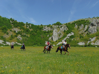 Reiterferien in Bosnien