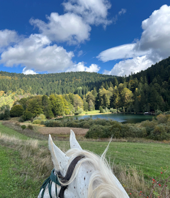 Reiturlaub Bosnien