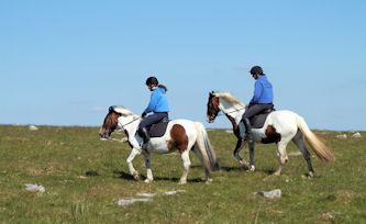 Reiterferien Cornwall