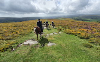 Reiterferien Dartmoor