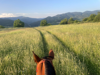 Reiterreise Bulgarien