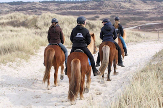Reiturlaub Nordsee