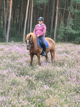 Reiterferien