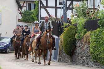 reiterferien westerwald