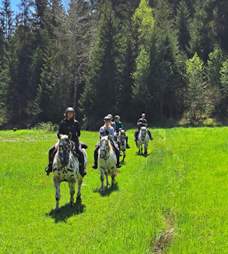 Bayerischer Wald