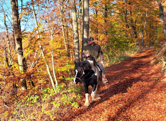 Reiten in Deutschland