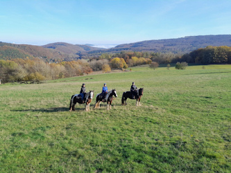 Reiten in Deutschland