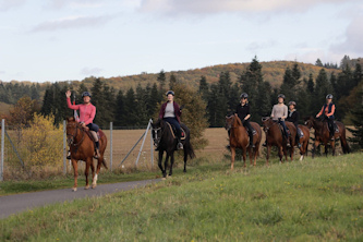 Reiten Mosel