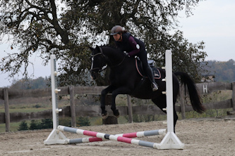 Reiten an der Mosel