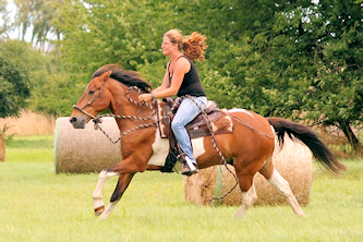 Reiten in Deutschland