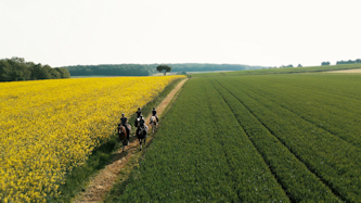 Reiturlaub Deutschland