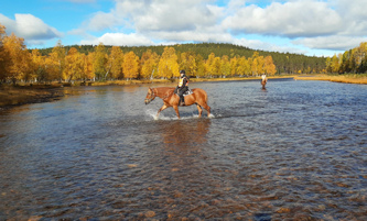 Finnland Reitführer