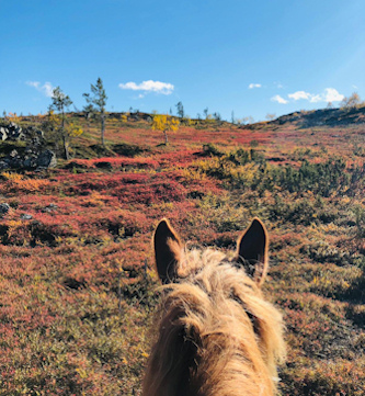 Reiterferien in Finnland