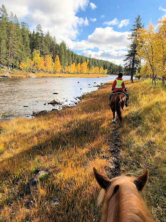 Reiten in Lappland