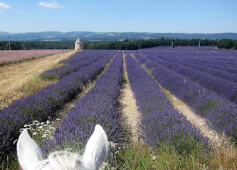 Reittour Frankreich