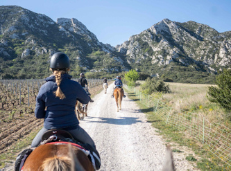 Reiten in der Provence