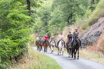Westernreiten