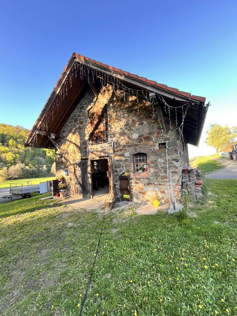 dd33.jpg