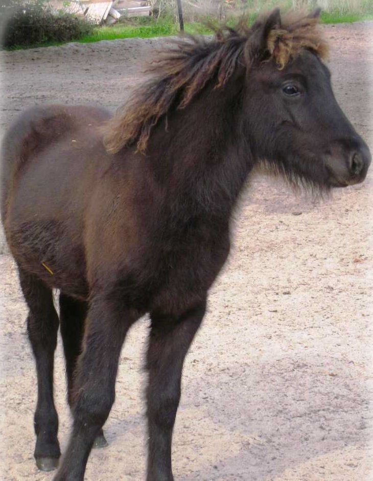 na57.jpg